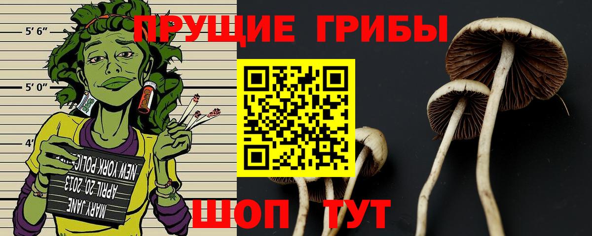 Галлюциногенные грибы мухоморы Псков