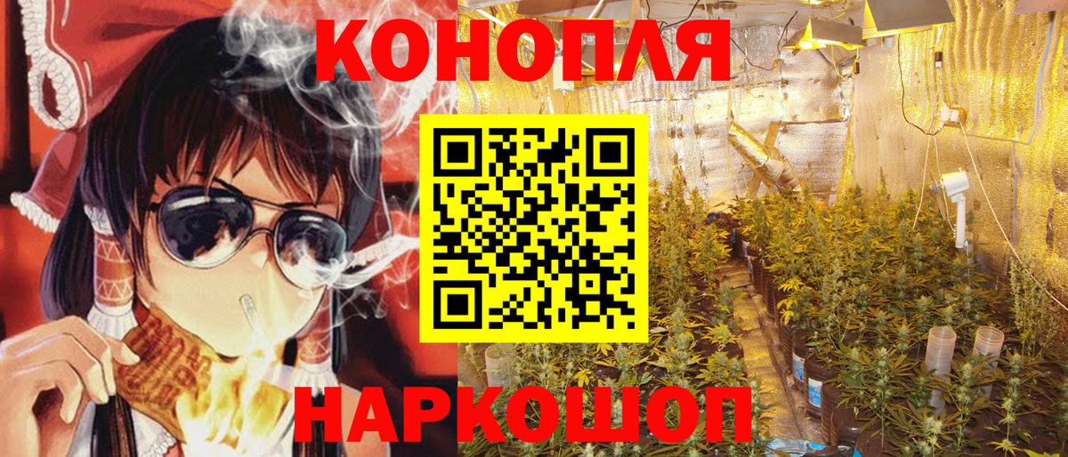 Шишки марихуана сатива  Бошки Шишки MAZAR  Псков  Вход с VPN  МАРИХУАНА планчик 